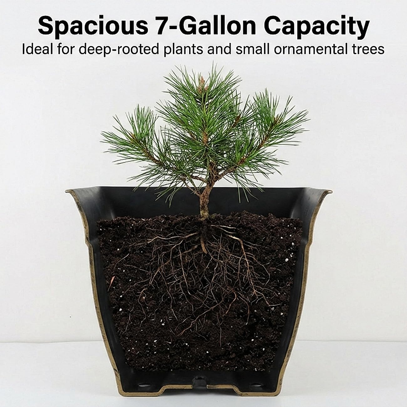 BTPLASTIK planters with drainage holes prevent water buildup for healthier roots.