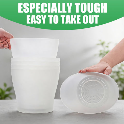 BTPLASTIK translucent planter suited for indoor and outdoor use on patios.