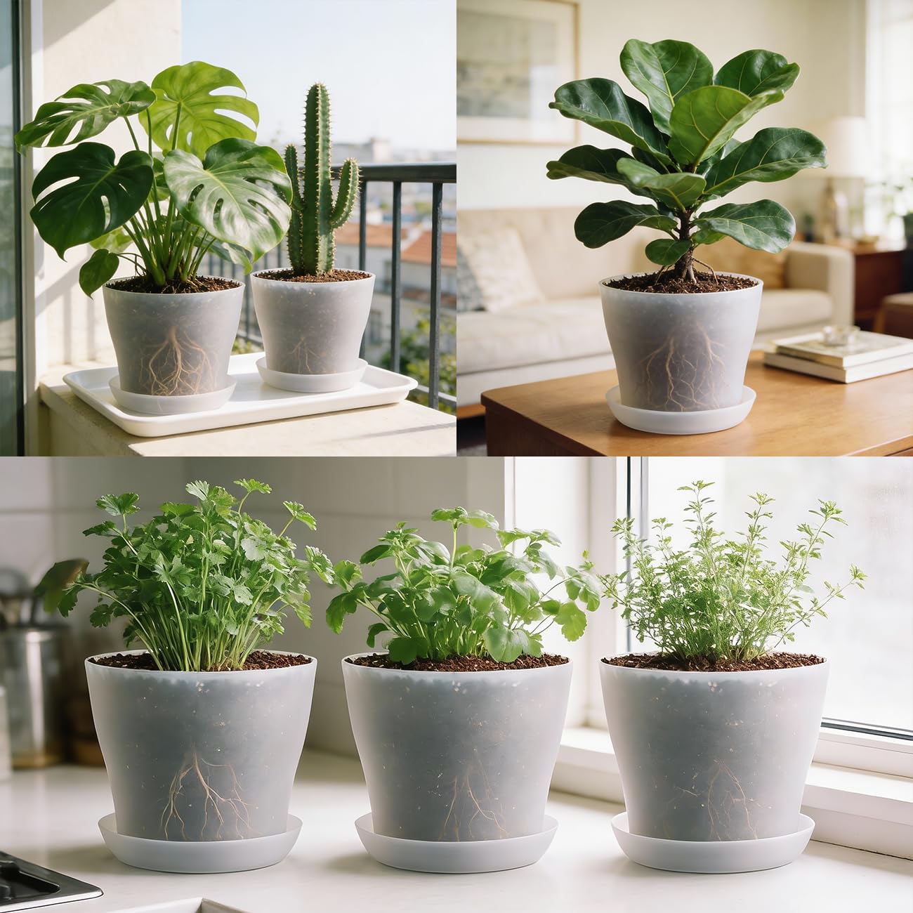 BTPLASTIK minimalist curved planter enhances decor while supporting healthy plants.