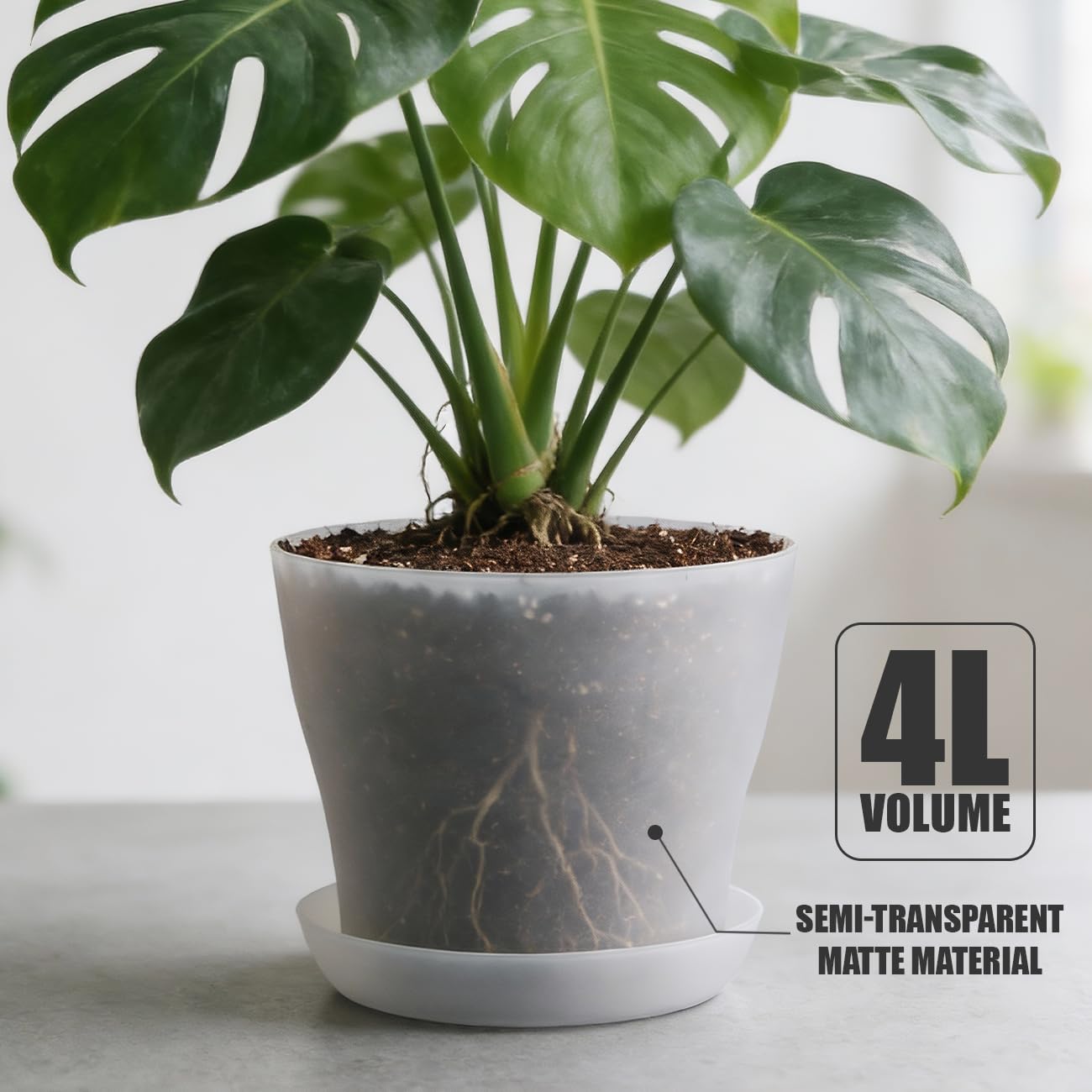 BTPLASTIK planter with non-slip base complements modern spaces and keeps pots steady.