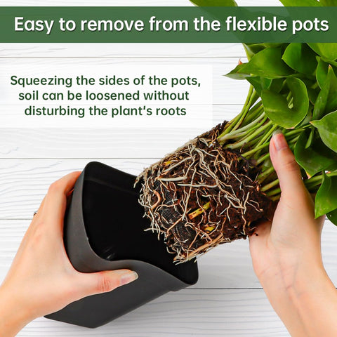 BTPLASTIK plastic seed starting pot black for versatile indoor outdoor use.