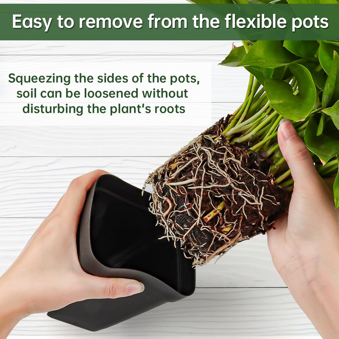 BTPLASTIK pot bottom view with drainage holes promotes root airflow.