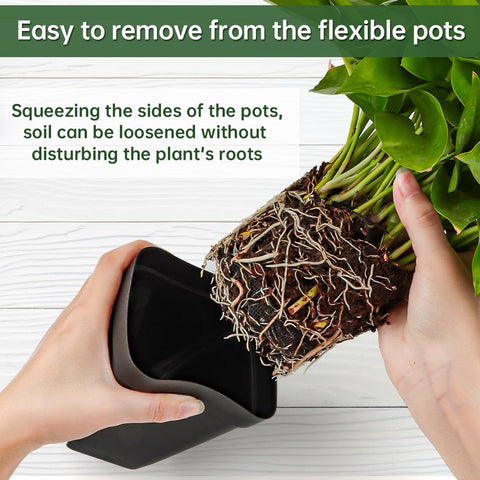 BTPLASTIK pot bottom view with drainage holes promotes root airflow.