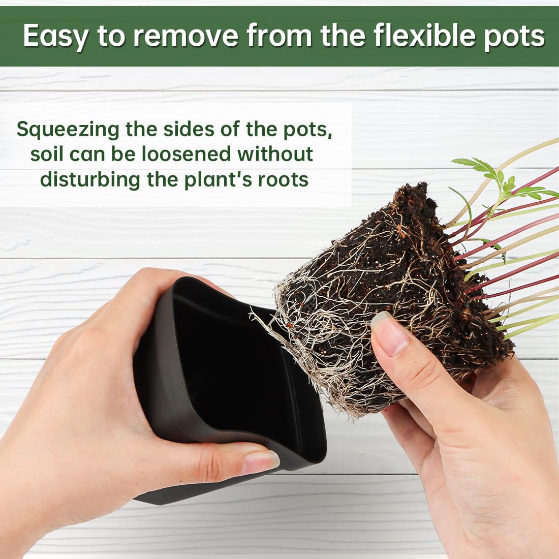 BTPLASTIK pot with drainage holes supports proper drainage.