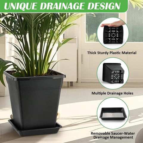 BTPLASTIK precision-fit trays under pots prevent leaks and mess.