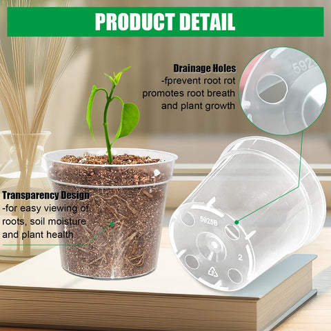 BTPLASTIK clear pot showing root growth through walls for quick checks.