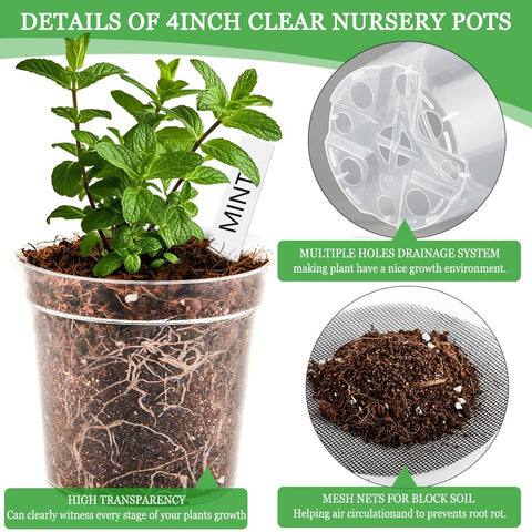 BTPLASTIK seed-start pot with visible roots during germination.