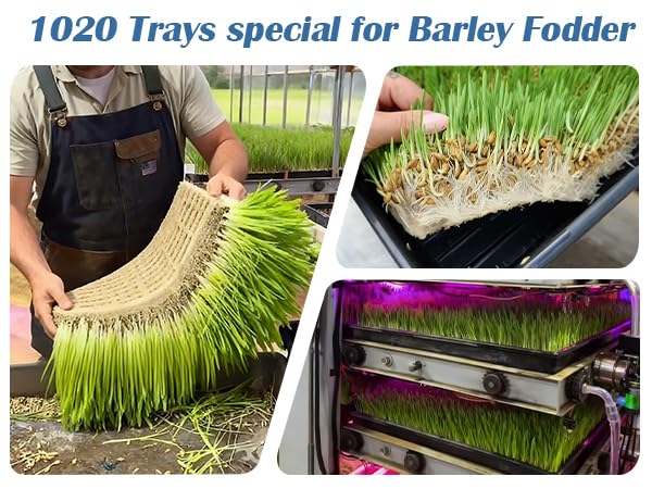 BTPLASTIK durable seed starter tray designed to fit 21x11 setups without wobble.
