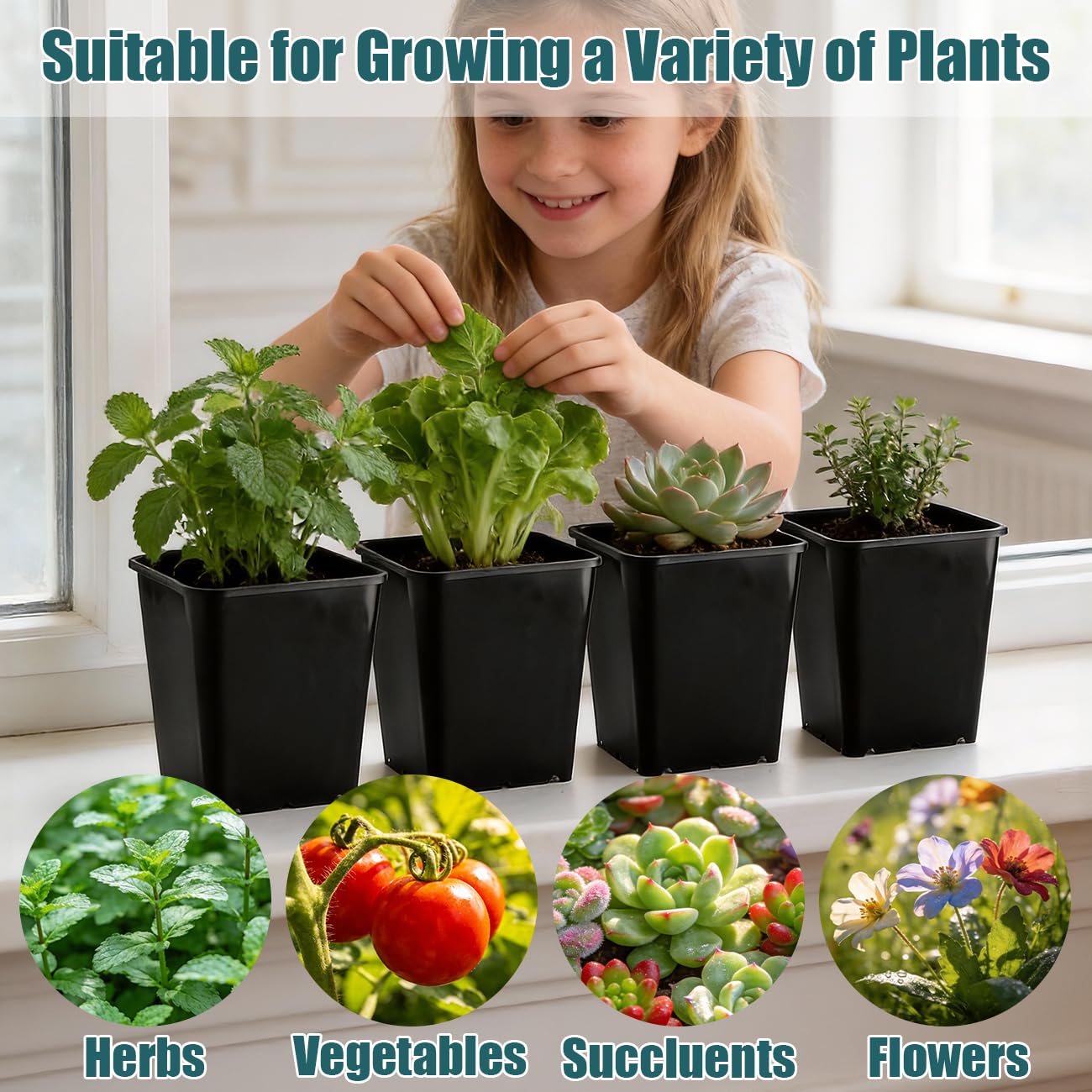 BTPLASTIK seedling pot with 6-inch opening for herbs