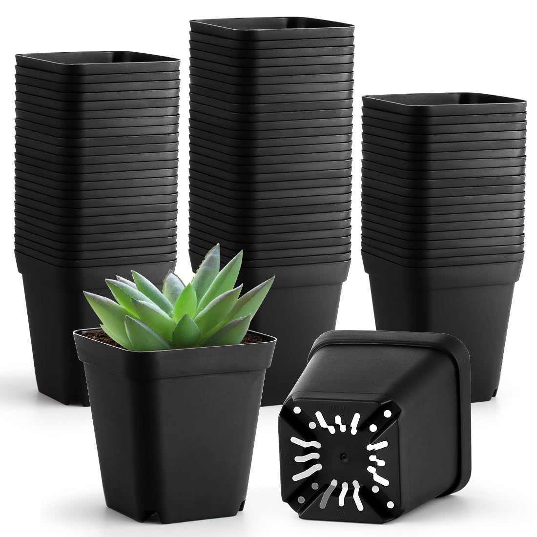 BTPLASTIK small pot, 3.5 inch, ideal for seedling prep with drainage.