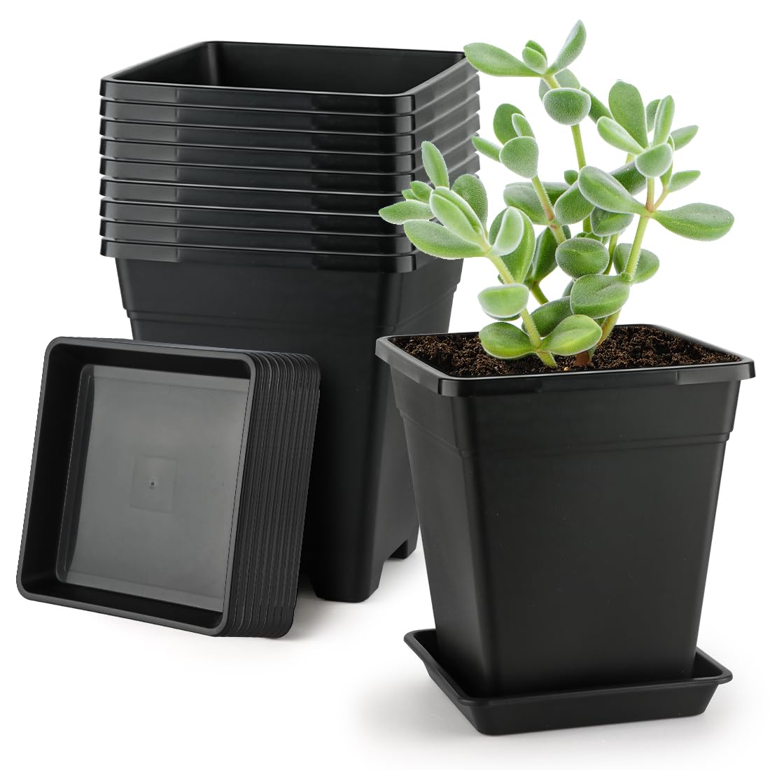 BTPLASTIK square 8-inch planter with drainage holes for balcony gardens
