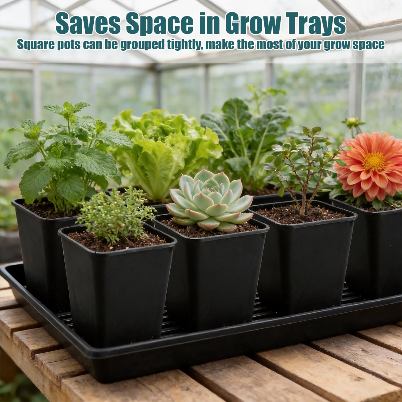 BTPLASTIK stackable nursery pots save space in storage