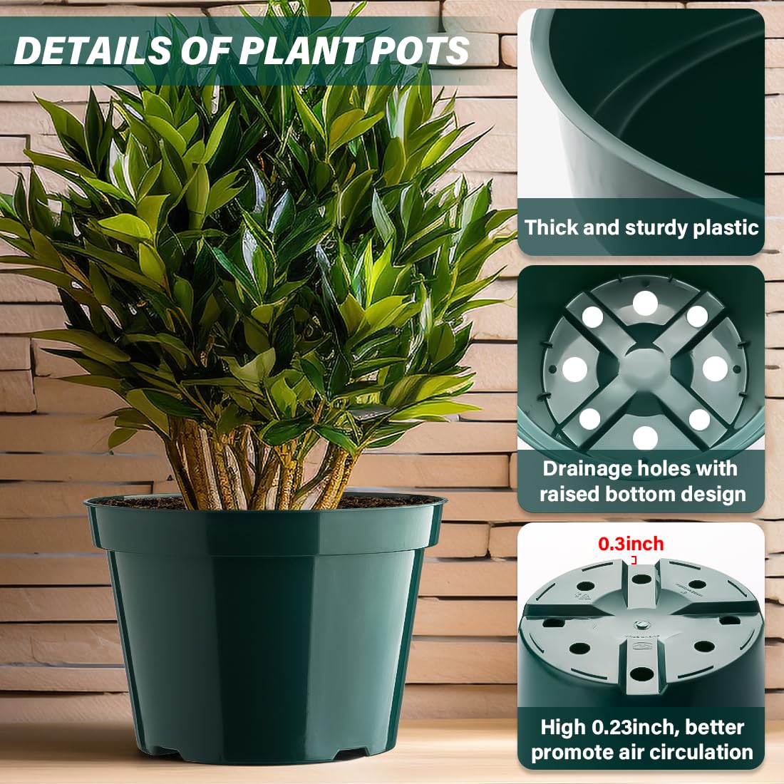 BTPLASTIK sturdy PP plant pots resist cracking and are reusable.
