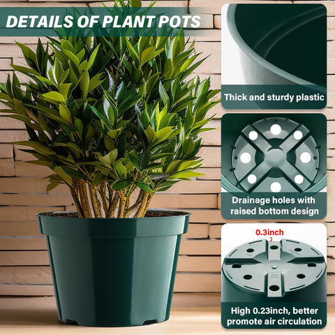 BTPLASTIK sturdy PP plant pots resist cracking and are reusable.