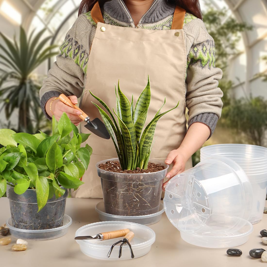BTPLASTIK translucent seedling pot suitable for indoor or outdoor growth
