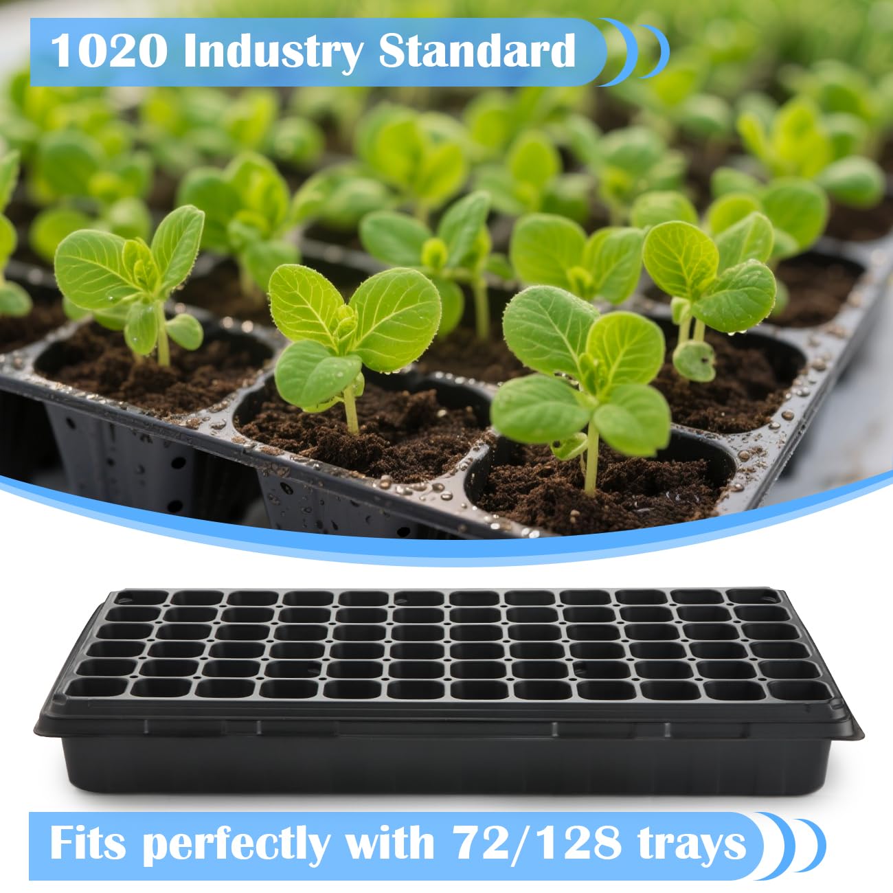 BTPLASTIK versatile tray supports seed starting, propagation, and transplant prep.