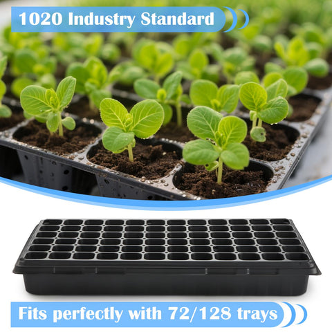 BTPLASTIK versatile tray supports seed starting, propagation, and transplant prep.
