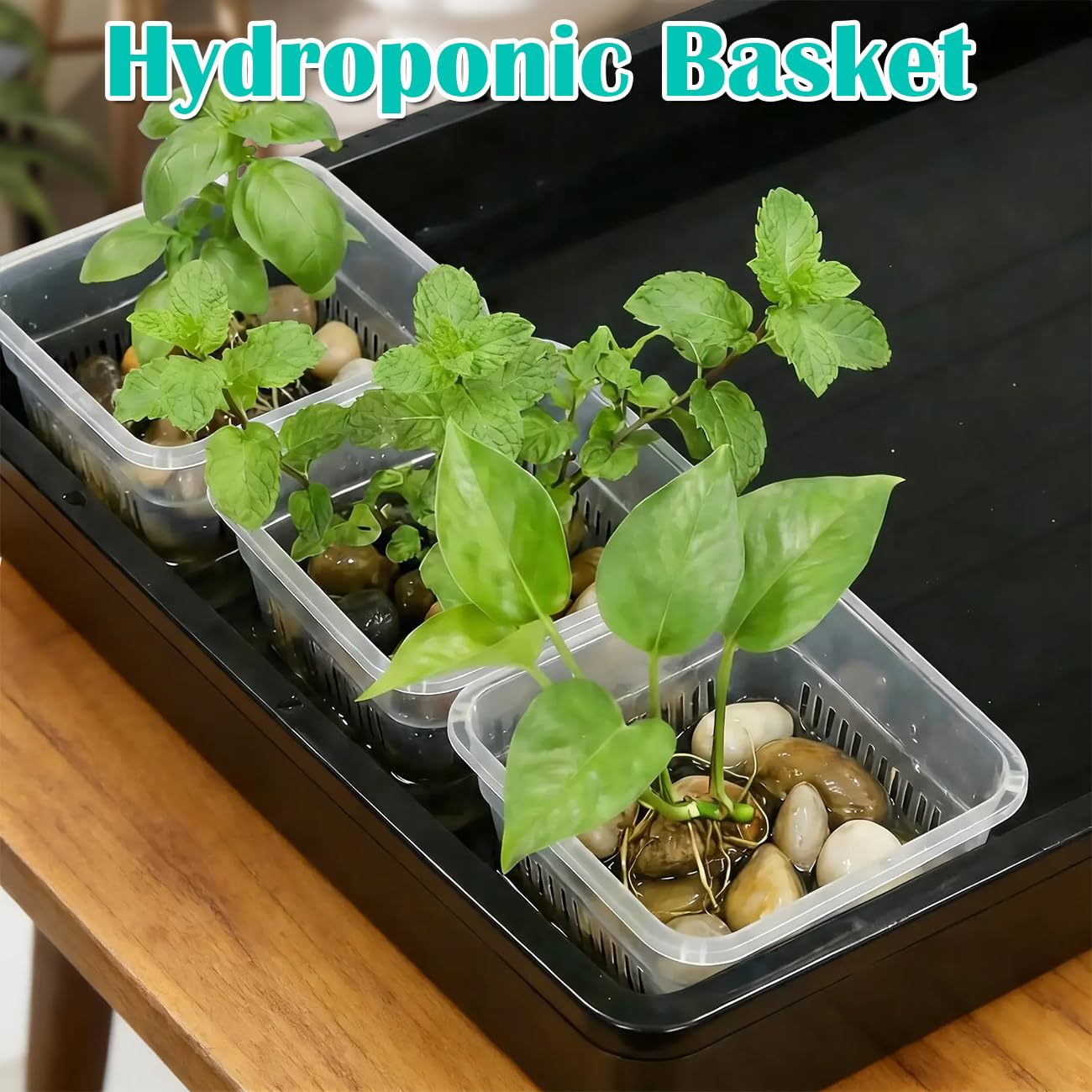 BTPLASTIK versatile pot for orchids, aquatic plants, and hydroponics.