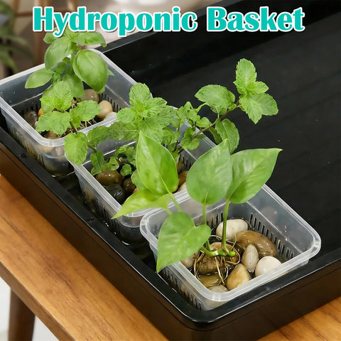 BTPLASTIK versatile pot for orchids, aquatic plants, and hydroponics.