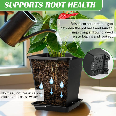 BTPLASTIK weatherproof planters survive extreme temperatures, protecting roots.