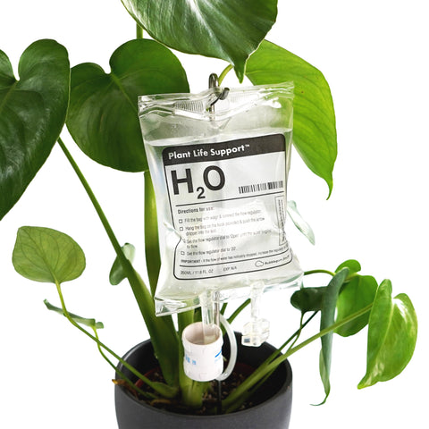 Bubblegum Stuff Plant Life Support bag provides steady drip irrigation for indoor plants.