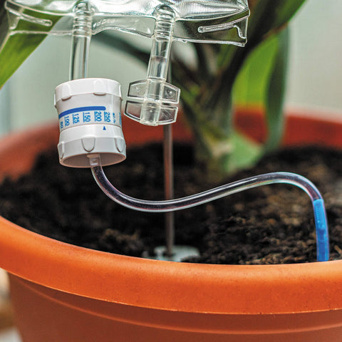 Bubblegum Stuff Plant Life Support gift packaging for plant lovers.
