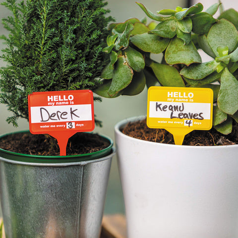 Bubblegum Stuff Plant Name Badges blue set marks terrariums and potted greenery