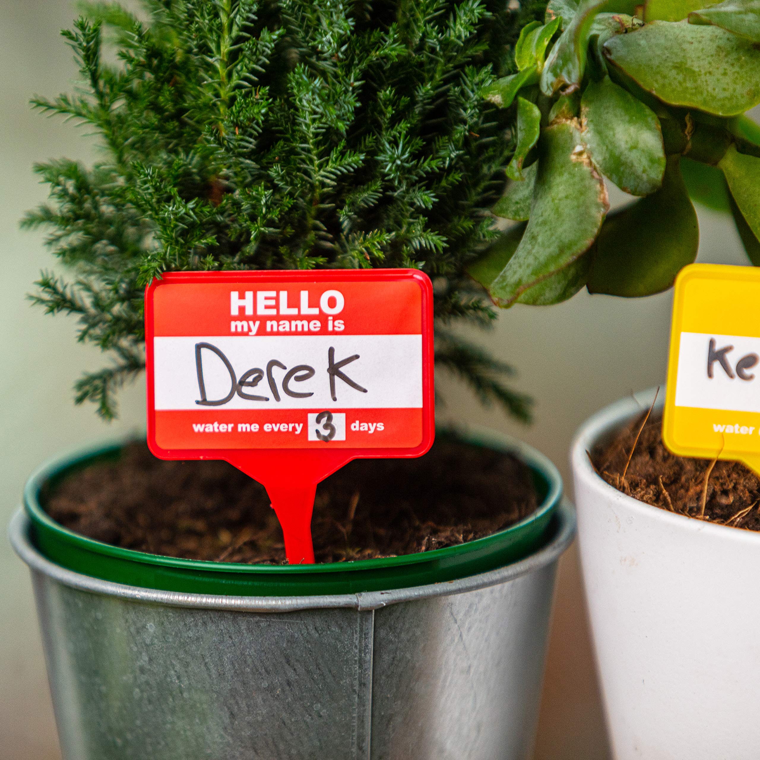 Bubblegum Stuff Plant Name Badges close-up showing wipe-clean surface