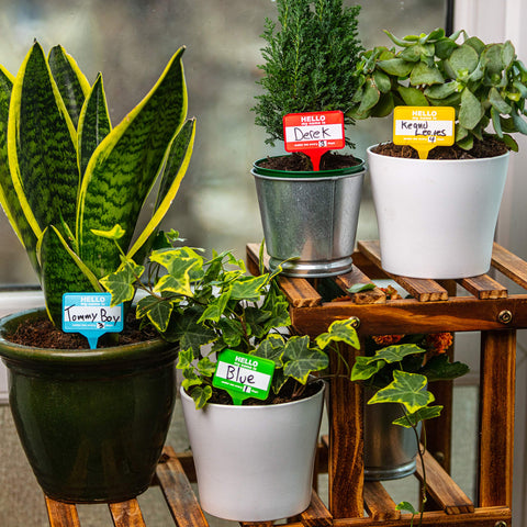 Bubblegum Stuff Plant Name Badges red set labeling indoor plants with clear wipeable labels