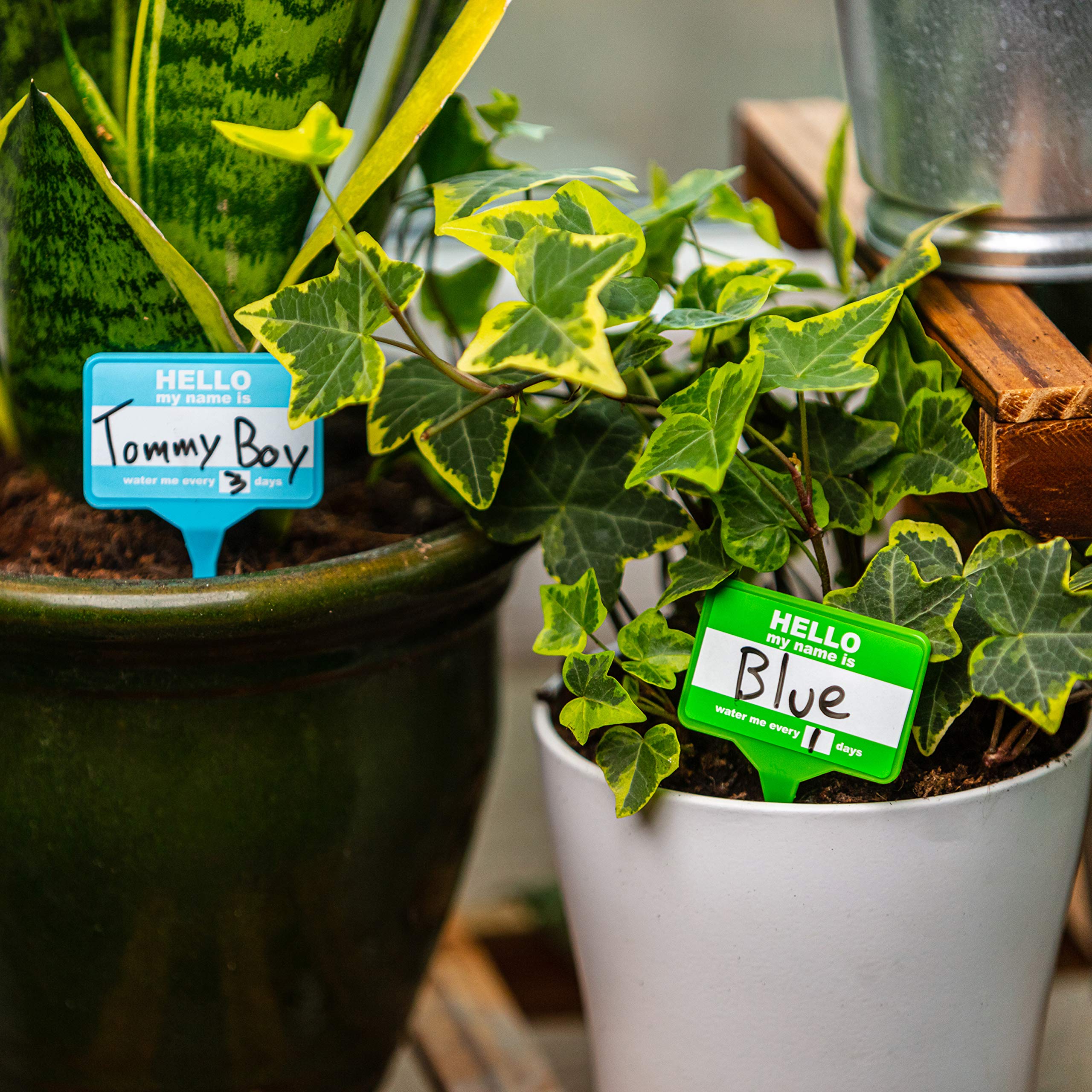 Bubblegum Stuff Plant Name Badges yellow set bright labels for herbs and succulents