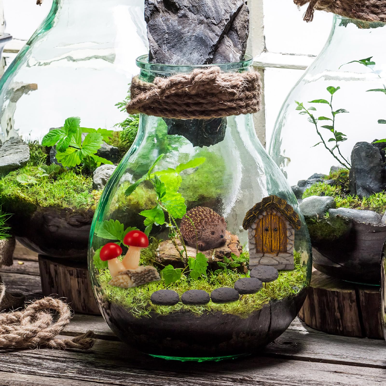 Bucherry forest stone 3 complements terrarium edges