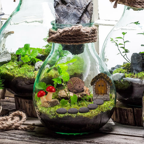 Bucherry forest stone 3 complements terrarium edges