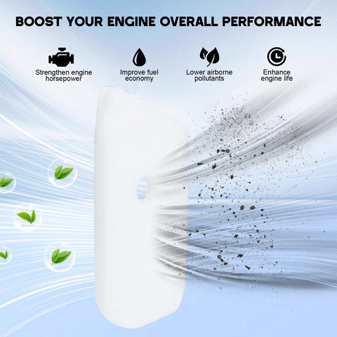 Buckbock spark-plug detail ideal for quick upgrades during service.