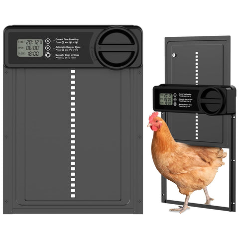 Budsom automatic door front view shows weather-ready construction for safe poultry access
