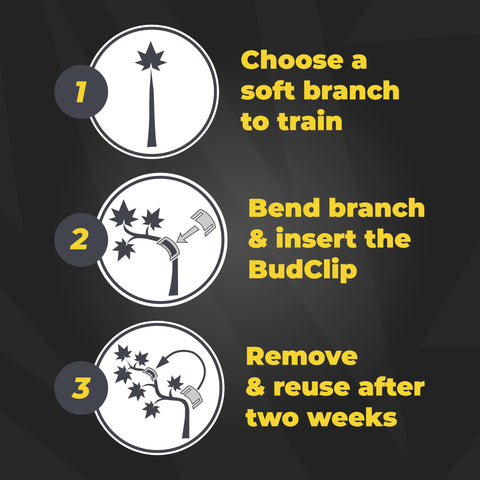 BudClips improve air circulation around stems to boost growth.