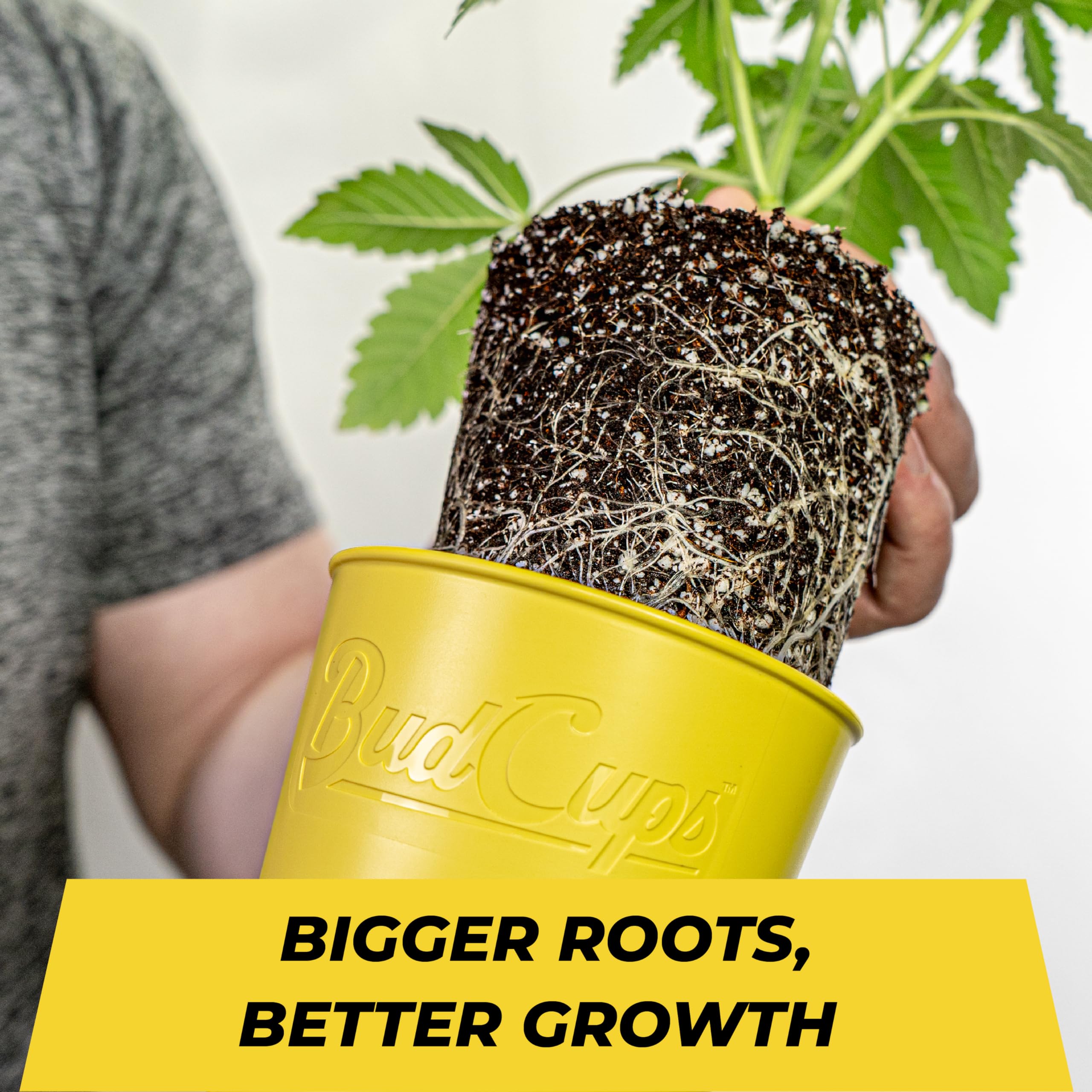 BudTrainer BudCups durable, eco-friendly pot for long-term reuse in seasonal gardening.