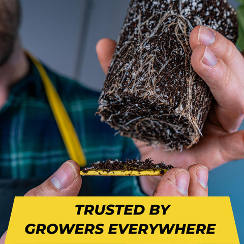 BudTrainer BudCups promote healthy rooting environments for herbs and vegetables.