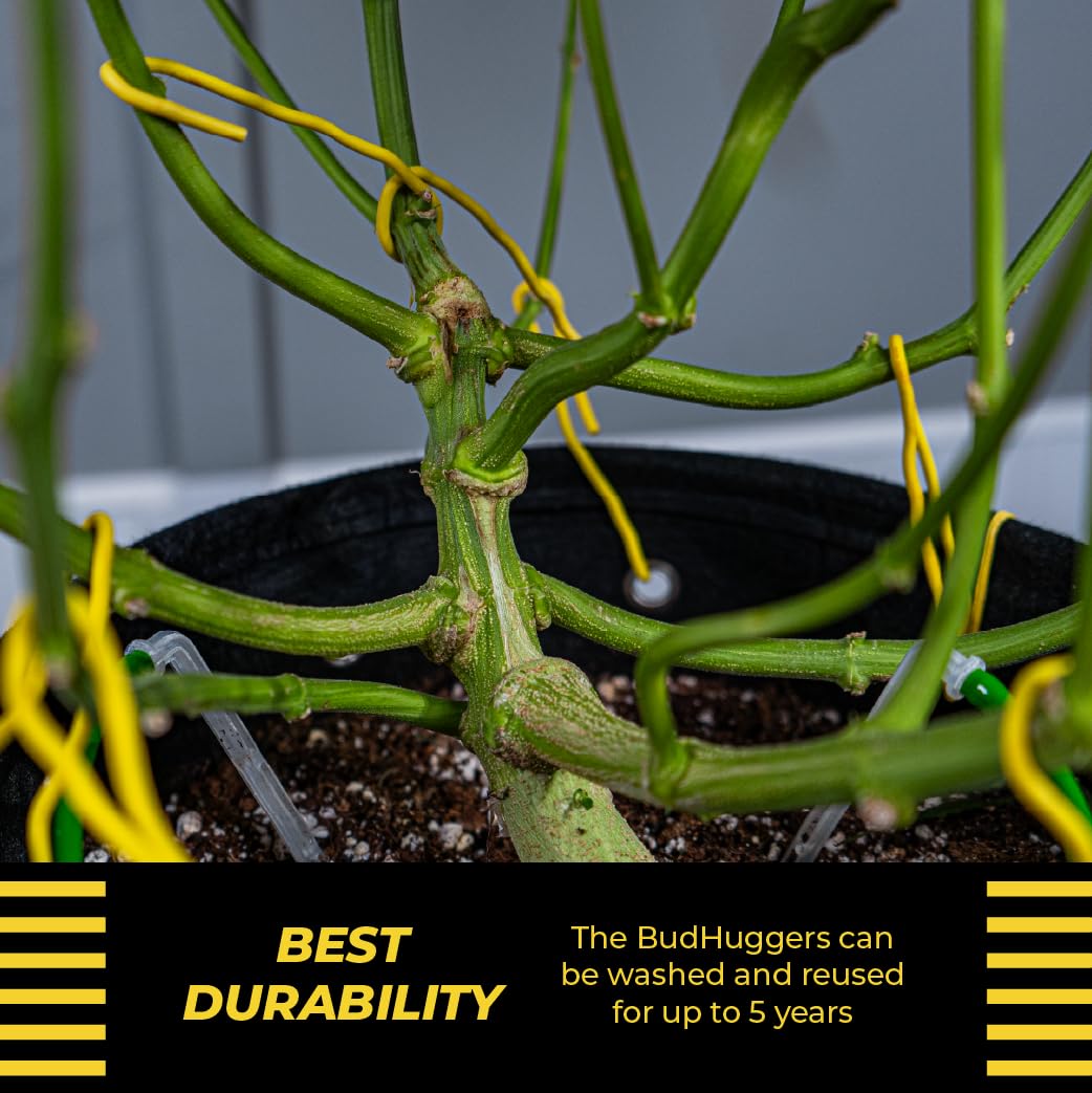 BudTrainer BudHuggers yellow rubber-coated ties are gentle on stems.