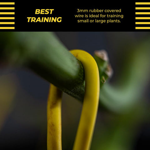 BudTrainer BudHuggers yellow washable ties for reusable seasons.