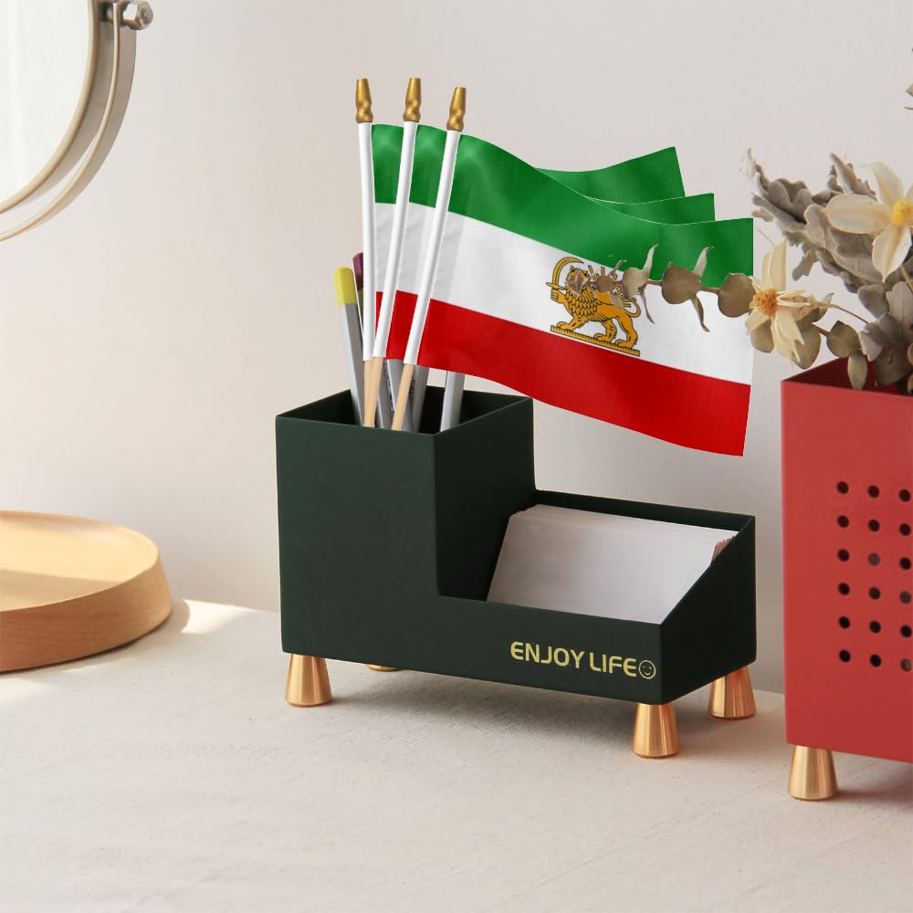 BUELOIGS 4x6 Iran flag with two-sided print for indoor and outdoor use