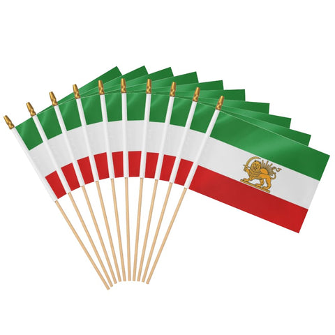 BUELOIGS old Iran flag with lion sun on wood stick for parades