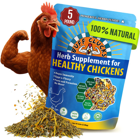 Buff Clucks herb supplement for backyard chickens supports daily wellness when mixed with feed.