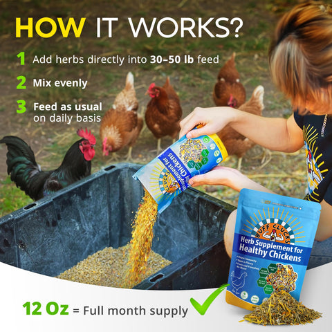 Buff Clucks nesting box treats promote balanced nutrition and calmer nesting behavior.