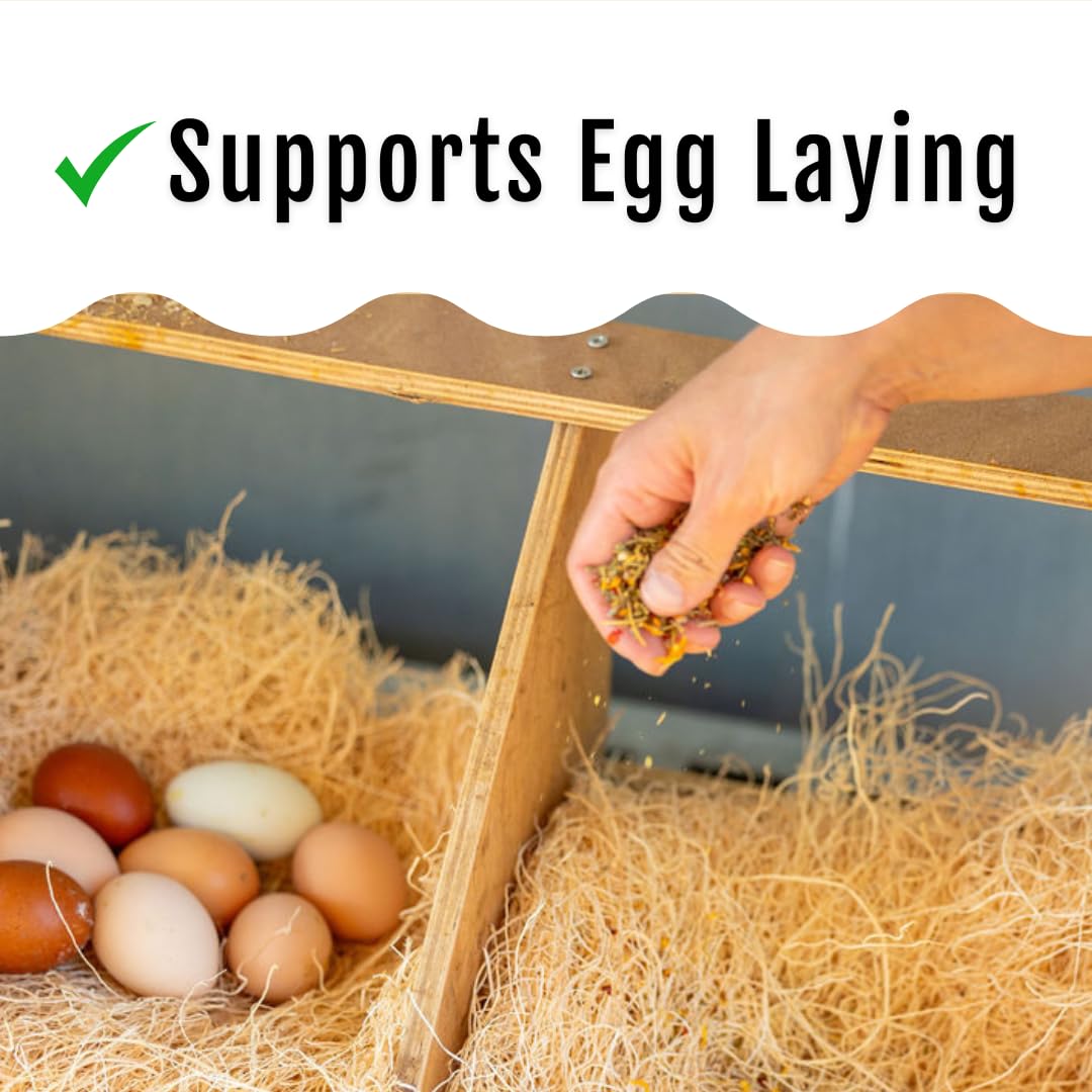 Buff Clucks non-GMO herb blend improves coop appeal and encourages steady feeding.