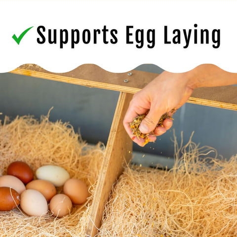 Buff Clucks non-GMO herb blend improves coop appeal and encourages steady feeding.