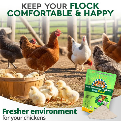 Buff Clucks USA-made natural coop herbs used in bedding.