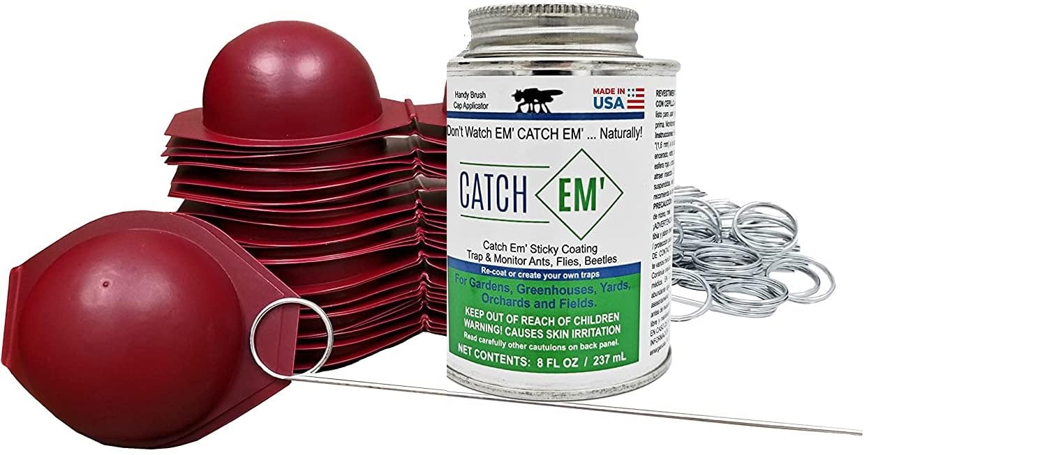 Bug Ball Apple Maggot Trap Deluxe Kit with 12 traps for orchard pest management