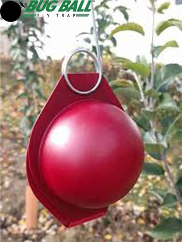 Bug Ball traps positioned prior to petal fall on apple trees for monitoring.