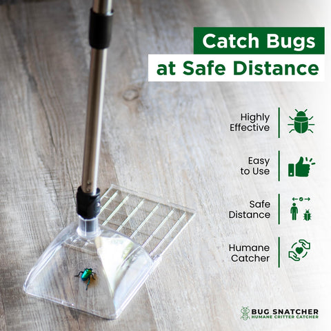 Bug Snatcher clear-view trap helps identify insects before relocation