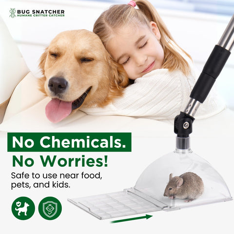 Bug Snatcher educational tool for learning about insects and arachnids